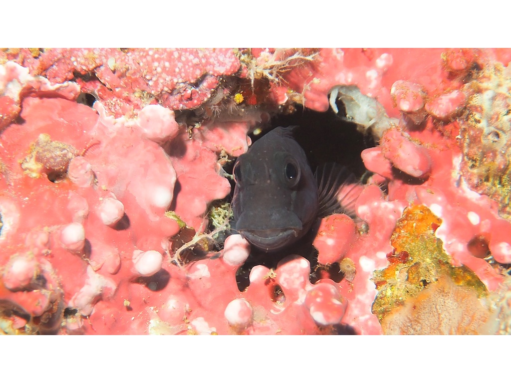 PN111377 - Version 2 PN111377 - Version 2